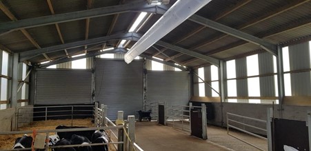 Positive pressure tube running through the calf housing shed at Eldon Farm